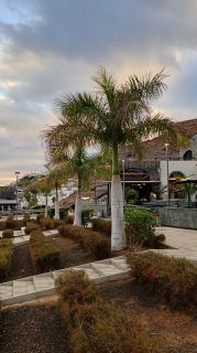 GC-Shopping Mogan Mall 2026-123.jpg